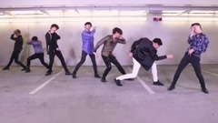 Video of dancing of Fake Love _