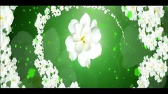 Short of music of jasmine flower _