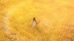 Short of music of Fields Of Gold_