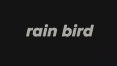 RAIN BIRD_Tablo