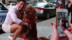 Short of music of Dog Just Wants To Hug Everyone In NYC - LOUBOUTINA The Dodo City Pets_ , happy use