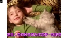 Feline Mi conveys the bud of _ of 10 kinds of means of love to bestow favor on