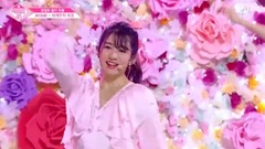 Encounter again - Produce48 advocate - _AKB48 of edition of excusing spot of the beauty inside bambo