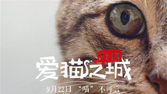Feline language film 