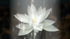 The galaxy of fetch _ Chinese of lotus, euramerican galaxy, musical short, light music, happy use a
