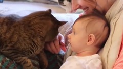 Bud of Funny Cats Meeting Newborn Babies_ is besto