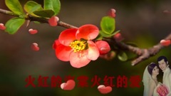 Fiery Chinese flowering crabapple loves _ Chinese 