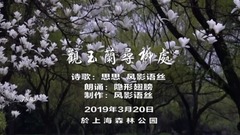 Guan Yulan searchs willow to be in _ Chinese galaxy, scenery, musical short