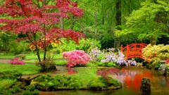 Japanese Garden Relaxing Music By Peder B. Helland_ scenery, musical short