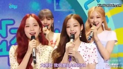 Interview&Dont Know What To Do&19/04/06_BLACKPINK of caption of Chinese of edition of spot o