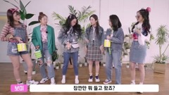 [The outing of the 6th Panda meets Apink/VCR] Apink - put together of EP2 19/04/25_ Korea art, apink