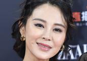 Close Yue, Tong Dawei, netizen: No matter be in charge of what your daughter-in-law shows next time,