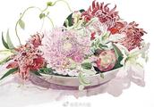Aquarelle of flowers of Zhi Caizi of Japanese illustrator three-bristle cudrania