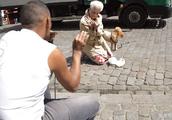 The old lady pulls dog stroll to bend actor of come across street, jump greatly as music hot dance w
