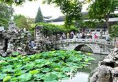 Scenery atlas: Suzhou gardens