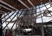 Iron tower of dust humble Er exhibits dinosaurian 