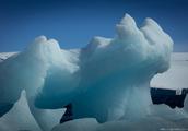 Genesis sex is empty - 2017 antarctic blue icebergs - not unripe eternal do not add do not decrease