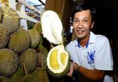 Thailand street Durian overruns, this one occasion brings netizen heat to discuss: Ma Yun should car
