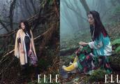 Newest cover illuminates Yang Mi, netizen: The great power power in rain all shows softness