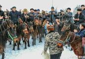 Xinjiang Yi plows snow ground to hold ovine whole process