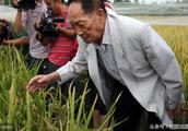 Yuan Longping academician: Agricultural allowance 