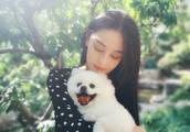 Zhang Xin grants to reflect exposure nearly, cancel cruel dog event, show inadvertently 