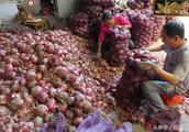 Vegetable photographs: Onion! Flavour of the empre