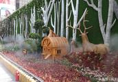 Beijing lasts sparge of open of flower bed of stre