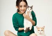 Zhao Liying is holding lovely mew star person in t