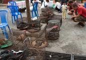 Hit those Vietnam market continuously by the animal of optional buying and selling people