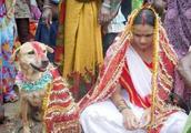 Uncover secret: India an appearance beautiful woman and roam about dog knot is husband and wife, bac