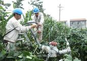 Jiangsu abundant county: Rush to repair of day and night of worker of electric power of damage of es
