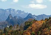 Wild fruit of mountain of the Qin Dynasty is mature in September season, the field after understandi