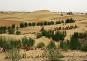 China is desert the first village: Because of building desert road by discovery, the villager does n