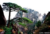 The tourist's doubt: The whole nation has few points to greet guest pine after all, be Huang Shan a