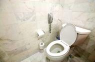 The sewer in the toilet, often give birth to small insect, how to do?