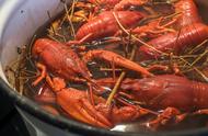 Does crayfish take shrimp remaining part only?