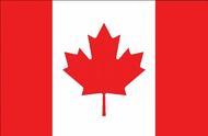 Canadian mouth is exiguous, comprehensive national power is far not as good as the United States, wh
