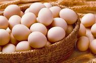 Egg of egg, dove and quail egg, it which kinds of egg the child eats is good that which kinds of egg