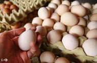 What reason is the egg rises in price recently?