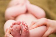 Are refrigerant embryo and the successful rate that new embryo transplants same?