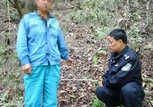 Shaanxi phoenix county is detected cut illegally c
