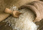 Does rice become moldy easily? Instruct you one co