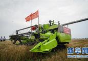 Jiangsu is held " agricultural whole process proj