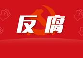 Mechanism of Guangdong procuratorial work is suspected of bribery case to Xie Jingtu lawfully to sue