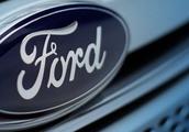 Orgnaization of service of sale of Ford whole nati