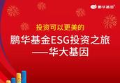Roc China the brigade that meeting ESG invests fund ｜ roc friend -- China big gene