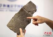 Sino-US scientist discovers fossil of foregone the oldest footmark in China