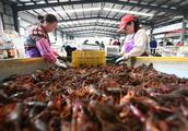 Chinese crayfish " build " in Oubanlie goes to R