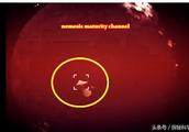 Solar system of the satellite that monitor takes mysterious flight matter, when show when concealed,